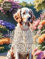 Seasons english setter for sale  Delivered anywhere in UK