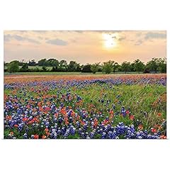 Greatbigcanvas field texas for sale  Delivered anywhere in USA 