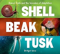 Shell beak tusk for sale  Delivered anywhere in USA 