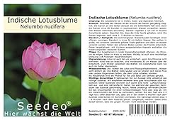 Seedeo lot graines d'occasion  Livré partout en Belgiqu