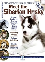 Meet siberian husky for sale  Delivered anywhere in USA 