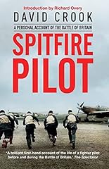 Spitfire pilot personal for sale  Delivered anywhere in USA 