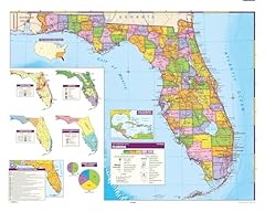 Nystrom florida wall for sale  Delivered anywhere in USA 