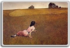 Andrew wyeth christina for sale  Delivered anywhere in USA 