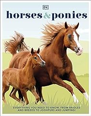 Horses ponies everything for sale  Delivered anywhere in UK