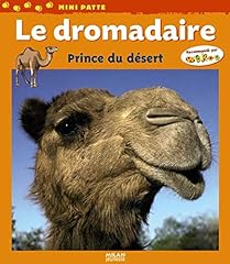 Dromadaire prince désert d'occasion  Livré partout en France