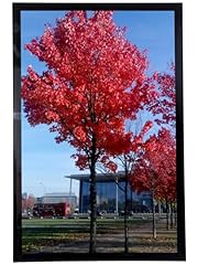 11x17 picture frame for sale  Delivered anywhere in USA 