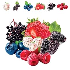 Fruit garden seeds for sale  Delivered anywhere in USA 