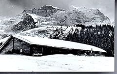 Cartolina jungfrau 1953 usato  Spedito ovunque in Italia 