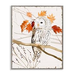 Stupell industries owl for sale  Delivered anywhere in USA 