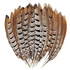 Feelfunfeather 5pcs pheasant for sale  Delivered anywhere in USA 