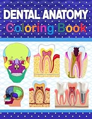 Dental anatomy coloring for sale  Delivered anywhere in UK