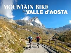 Mountain bike valle usato  Spedito ovunque in Italia 