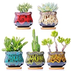 Cute ceramic succulent for sale  Delivered anywhere in USA 