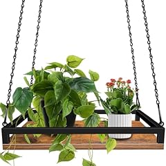 Plant hanger indoor for sale  Delivered anywhere in USA 