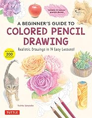 Beginner guide colored for sale  Delivered anywhere in USA 