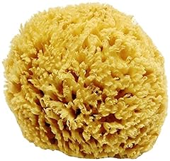 natural sponges for sale  Delivered anywhere in UK