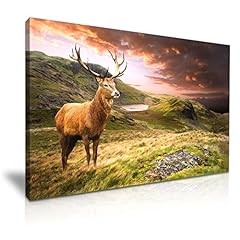 Deer stag mountain for sale  Delivered anywhere in UK