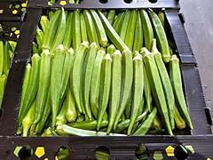 Fresh okra okro for sale  Delivered anywhere in UK