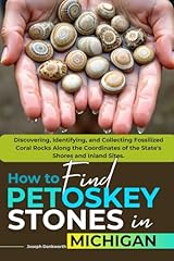Find petoskey stones for sale  Delivered anywhere in USA 