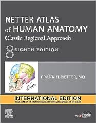 Netter atlas human d'occasion  Livré partout en Belgiqu