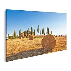 Islandburner quadro tela usato  Spedito ovunque in Italia 