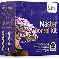 Master bonsai kit gebraucht kaufen  Wird an jeden Ort in Deutschland