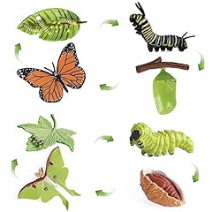 Sienon 4pcs butterfly for sale  Delivered anywhere in USA 