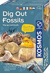 Kosmos 616922 fossilien gebraucht kaufen  Wird an jeden Ort in Deutschland