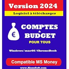 Comptes budget remplace d'occasion  Livré partout en France