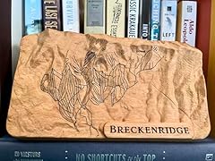 Breckenridge ski resort for sale  Delivered anywhere in USA 