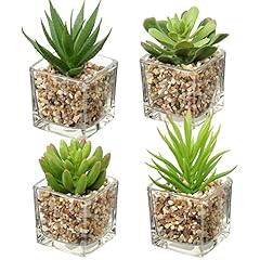 Briful artificial succulents for sale  Delivered anywhere in UK