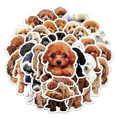 Adesivi poodle per usato  Spedito ovunque in Italia 