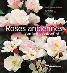 Roses anciennes jardins d'occasion  Livré partout en Belgiqu
