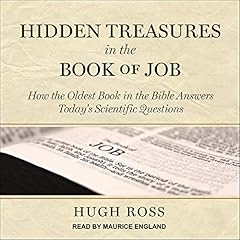 Hidden treasures book for sale  Delivered anywhere in UK