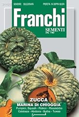 Franchi pumpkin marina for sale  Delivered anywhere in UK