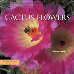 Cactus flowers for sale  Delivered anywhere in USA 