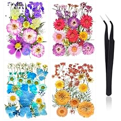 100 pcs real for sale  Delivered anywhere in USA 