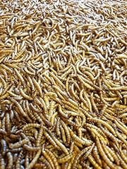 2kg dried mealworms for sale  Delivered anywhere in Ireland