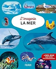 Mer d'occasion  Livré partout en Belgiqu