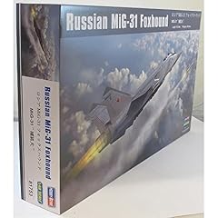 Hobby boss russian for sale  Delivered anywhere in USA 