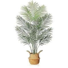 Mosade artificial areca for sale  Delivered anywhere in USA 