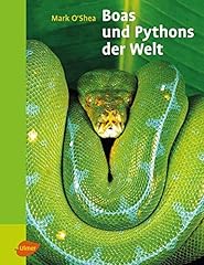 Boas pythons gebraucht kaufen  Wird an jeden Ort in Deutschland