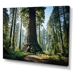 Designq tree redwood for sale  Delivered anywhere in USA 