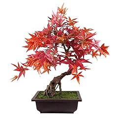 Leaf bonsai artificiale usato  Spedito ovunque in Italia 