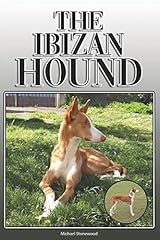 Ibizan hound complete for sale  Delivered anywhere in UK