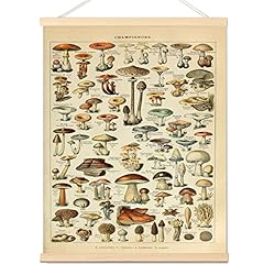 Vintage mushroom poster for sale  Delivered anywhere in USA 