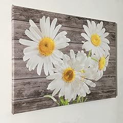 Taomi white daisy for sale  Delivered anywhere in USA 
