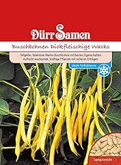 Buschbohnen samen dickfleischi gebraucht kaufen  Wird an jeden Ort in Deutschland