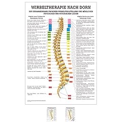 Sport tec dorntherapie gebraucht kaufen  Wird an jeden Ort in Deutschland